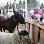 Brynica. 19.12.2019. Żywa szopka w Brynicy / Wiktor Taszłow / Radio Kielce