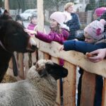 Brynica. 19.12.2019. Żywa szopka w Brynicy / Wiktor Taszłow / Radio Kielce