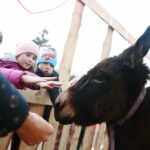 Brynica. 19.12.2019. Żywa szopka w Brynicy / Wiktor Taszłow / Radio Kielce