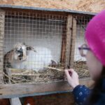 Brynica. 19.12.2019. Żywa szopka w Brynicy / Wiktor Taszłow / Radio Kielce