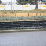 20.12.2019. Kielce. Przyuliczne maty chroniące roślinność od soli drogowej / Wiktor Taszłow / Radio Kielce