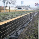 20.12.2019. Kielce. Przyuliczne maty chroniące roślinność od soli drogowej / Wiktor Taszłow / Radio Kielce