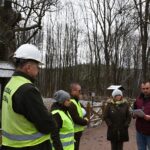 04.12.2019. Zagnańsk. Dąb Bartek. Prace ochronne / RDLP w Radomiu