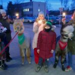 31.12.2019. Suchedniów. Akcja promująca zimne ognie w Sylwestra / Radosław Kowalik