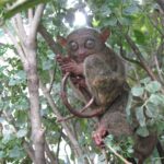 Filipiny / Małgorzata Anna Jóźwiak i Marek Jóźwiak