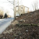 21.01.2020. Kielce. Wycięte drzewa na skarpie przy ulicy Ogrodowej / Jarosław Kubalski / Radio Kielce