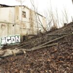 21.01.2020. Kielce. Wycięte drzewa na skarpie przy ulicy Ogrodowej / Jarosław Kubalski / Radio Kielce