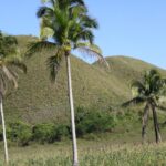 Filipiny / Małgorzata Anna Jóźwiak i Marek Jóźwiak