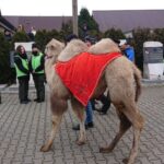 06.01.2020. Starachowice. Orszak Trzech Króli / Anna Głąb / Radio Kielce