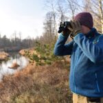 15.01.2020 Rożenek. Akcja liczenia ptaków / Magdalena Galas-Klusek / Radio Kielce