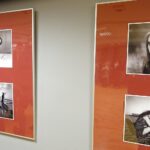 25.01.2020. Jędrzejów. „Galeria na piętrze”. Wystawa jędrzejowianina Piotra Bekiera / Ewa Pociejowska-Gawęda / Radio Kielce