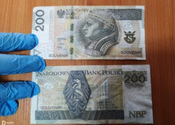 Wielkopolska Policja