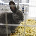 Fot. Jarosław Kubalski - Radio Kielce