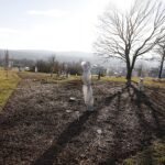 21.01.2020. Kielce. Ogród botaniczny / Jarosław Kubalski / Radio Kielce