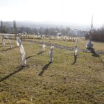 21.01.2020. Kielce. Ogród botaniczny / Jarosław Kubalski / Radio Kielce