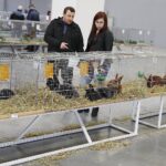 26.01.2020. Kielce. Wystawa królików w Targach Kielce / Jarosław Kubalski / Radio Kielce