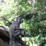 Malezja / Małgorzata Anna Jóźwiak i Marek Jóźwiak