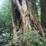 Malezja / Małgorzata Anna Jóźwiak i Marek Jóźwiak