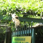 Malezja / Małgorzata Anna Jóźwiak i Marek Jóźwiak