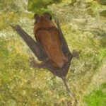 Malezja / Małgorzata Anna Jóźwiak i Marek Jóźwiak