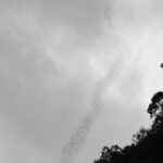 Malezja / Małgorzata Anna Jóźwiak i Marek Jóźwiak