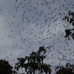 Malezja / Małgorzata Anna Jóźwiak i Marek Jóźwiak