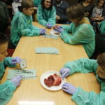 11.01.2019 Kielce. Noc Biologów na UJK / Jarosław Kubalski / Radio Kielce