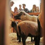 10.01.2020 Kielce. UJK. Noc Biologów / Jarosław Kubalski / Radio Kielce