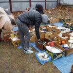 11.01.2020 Kielce. Giełda staroci / Jarosław Kubalski / Radio Kielce