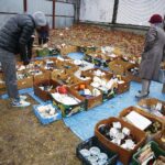 11.01.2020 Kielce. Giełda staroci / Jarosław Kubalski / Radio Kielce