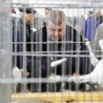 25.01.2020 Kielce. Targi Kielce. Krajowa wystawa gołębi i drobnego inwentarza / Jarosław Kubalski / Radio Kielce