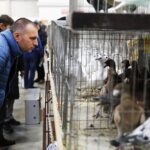 25.01.2020 Kielce. Targi Kielce. Krajowa wystawa gołębi i drobnego inwentarza / Jarosław Kubalski / Radio Kielce