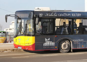 Autobusy, kierowcy autobusów / Marzena Mąkosa / Radio Kielce