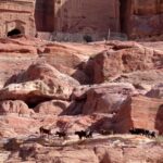 Petra / Monika Bajka