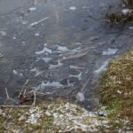 07.01.2020. Kielce. Lód na kieleckim zalewie / Wiktor Taszłow / Radio Kielce