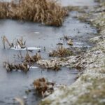 07.01.2020. Kielce. Lód na kieleckim zalewie / Wiktor Taszłow / Radio Kielce