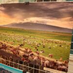 Kielce. 09.01.2020. Wernisaż wystawy fotografii mongolskiego fotografa Bayar Balgantserena w WDK / Wiktor Taszłow / Radio Kielce