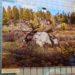 Kielce. 09.01.2020. Wernisaż wystawy fotografii mongolskiego fotografa Bayar Balgantserena w WDK / Wiktor Taszłow / Radio Kielce