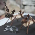 Kielce. 18.01.2020. Wystawa rękodzieła artystycznego prac stworzonych przez pracowników Ogrodu Botanicznego pt. "Roślinny DESIGN" / Wiktor Taszłow / Radio Kielce