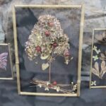 Kielce. 18.01.2020. Wystawa rękodzieła artystycznego prac stworzonych przez pracowników Ogrodu Botanicznego pt. "Roślinny DESIGN" / Wiktor Taszłow / Radio Kielce