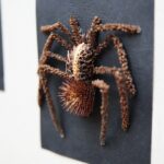 Kielce. 18.01.2020. Wystawa rękodzieła artystycznego prac stworzonych przez pracowników Ogrodu Botanicznego pt. "Roślinny DESIGN" / Wiktor Taszłow / Radio Kielce