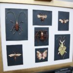 Kielce. 18.01.2020. Wystawa rękodzieła artystycznego prac stworzonych przez pracowników Ogrodu Botanicznego pt. "Roślinny DESIGN" / Wiktor Taszłow / Radio Kielce