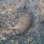 13.01.2020. Szczaworyż. Znaleziona bomba lotnicza / CPdMZ w Kielcach