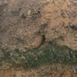 13.01.2020. Szczaworyż. Znaleziona bomba lotnicza / CPdMZ w Kielcach