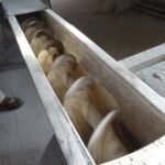 18.01.2020. Stryczowice. Młyn Waldemara Połowniaka / Emilia Sitarska / Radio Kielce