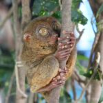 Filipiny / Małgorzata Anna Jóźwiak i Marek Jóźwiak