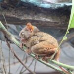 Filipiny / Małgorzata Anna Jóźwiak i Marek Jóźwiak