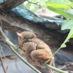 Filipiny / Małgorzata Anna Jóźwiak i Marek Jóźwiak