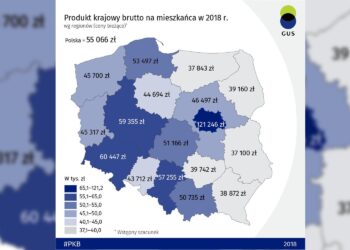 PKB na mieszkańca w 2018 roku / GUS