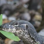 Filipiny / Małgorzata Anna Jóźwiak i Marek Jóźwiak